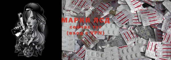 PSILOCYBIN Балабаново