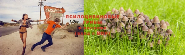 не бодяженный Аркадак