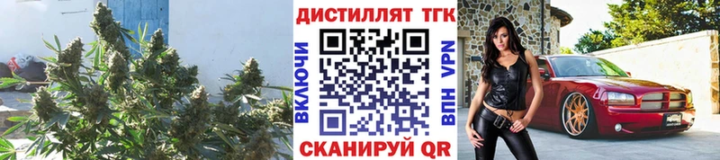 где продают   Кущёвская  Дистиллят ТГК THC oil 