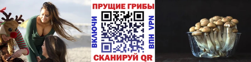 как найти наркотики  Кущёвская  Галлюциногенные грибы прущие грибы 